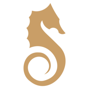 cropped-Logo_CNH-10.png
